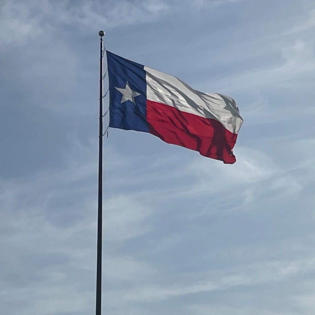 Texas Chess Association