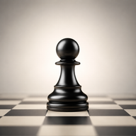 NM Damir Studen Scholastic Chess Tournaments